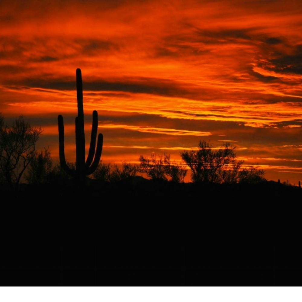 Meet your Posher, Posh